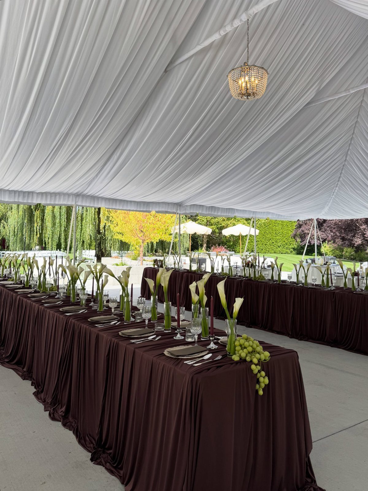 Long banquet tables with brown tablecloths and white calla lily centerpieces under a white tent.
