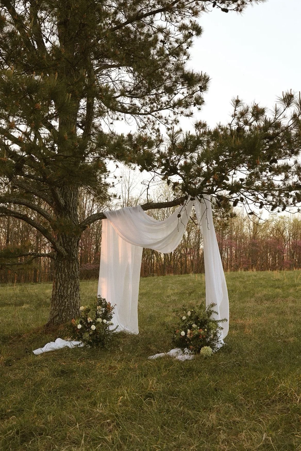 Outdoor Wedding Altar: 5 Ideas That Cost Less Than They Look 5 White fabric draped over tree branches in a grassy field with floral arrangements below.