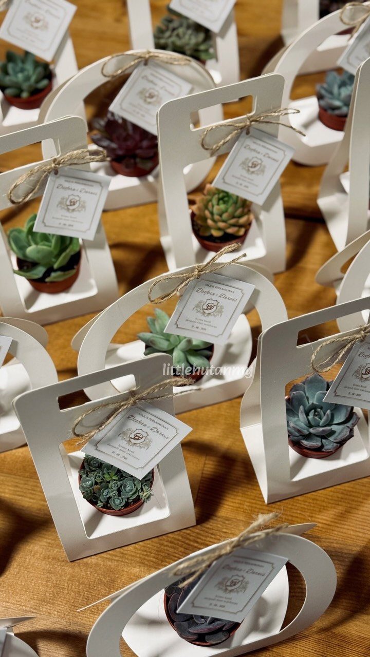 10 Wedding Favors for Guests Ideas: From Plants to Hot Sauce 5 Small succulent plants in white cardboard gift boxes with twine-tied tags on a gold surface.