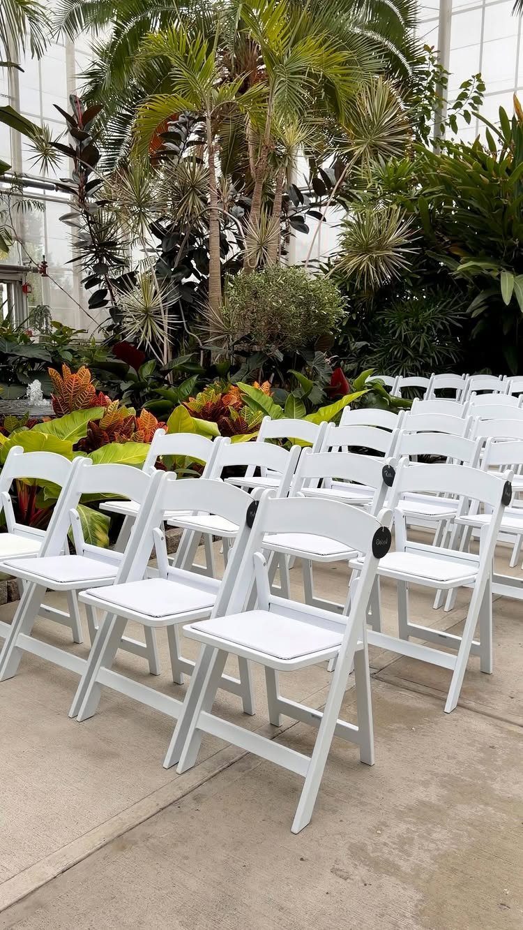 White folding chairs arranged in rows facing lush tropical plants and palm trees in a garden.