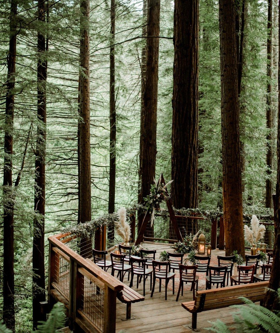 A wooden wedding ceremony deck set within a dense forest of towering redwood trees.