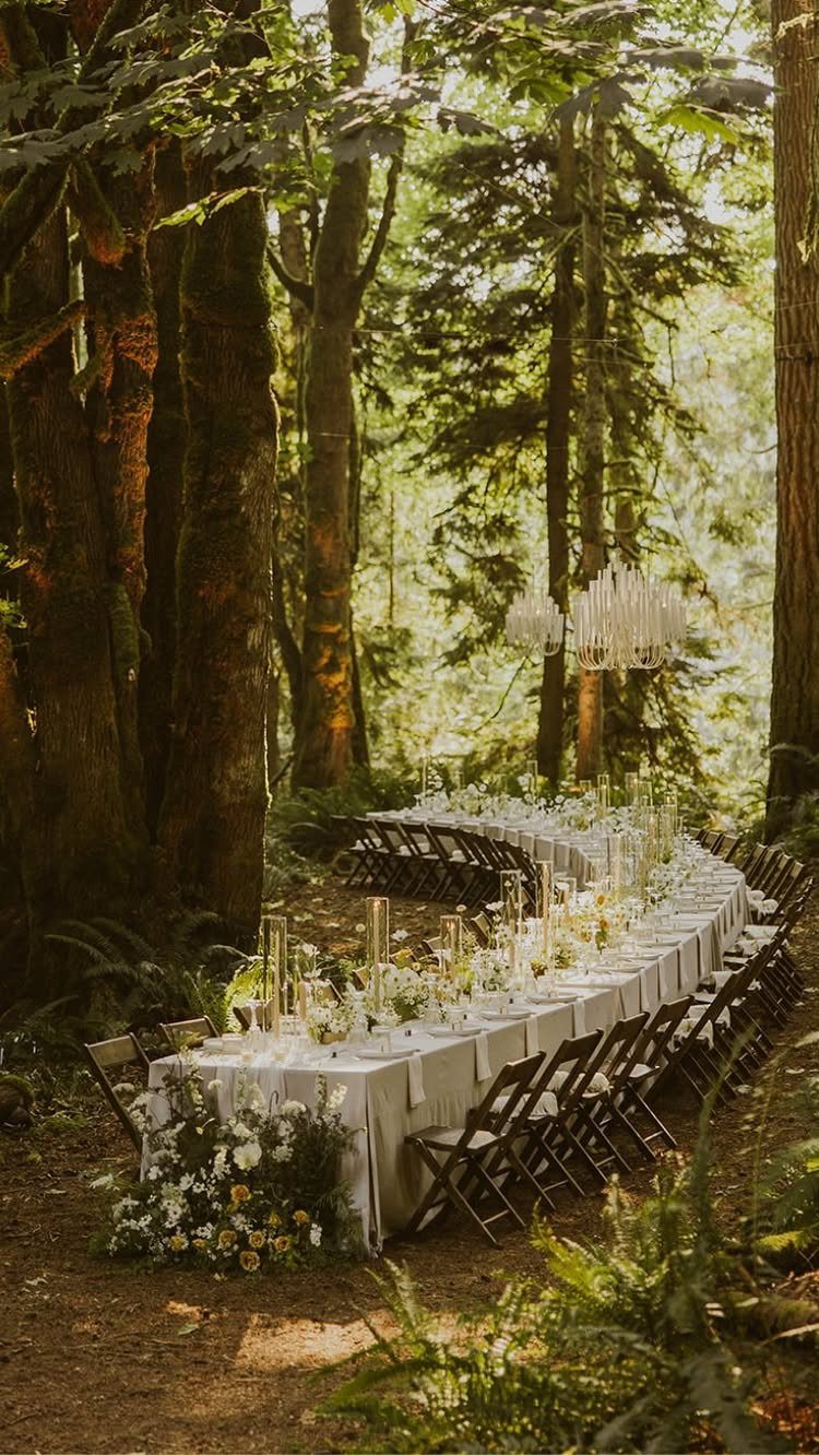 A long, curved wedding table decorated with white flowers and candles set within a sunlit forest.